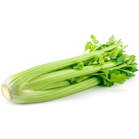 apio verde apio verde