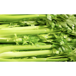apios verdes