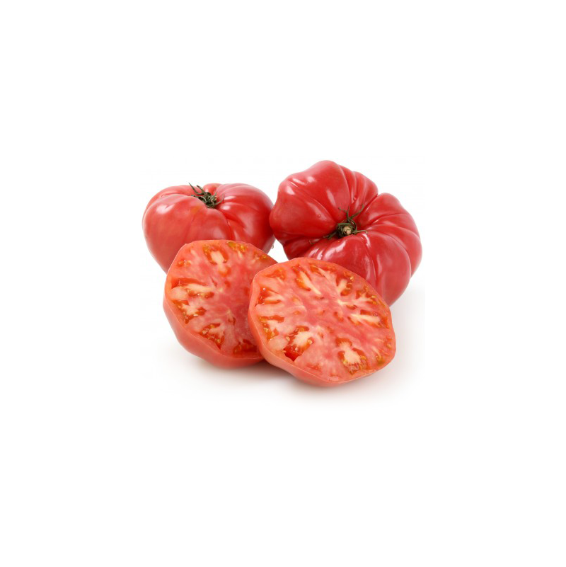 tomate rosado extra