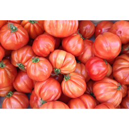 tomates rosados extras