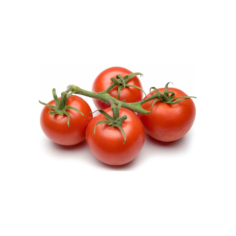 tomate rama