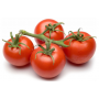 tomate rama