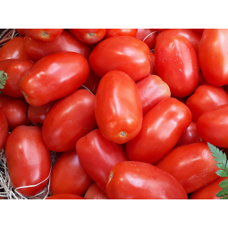 tomates pera