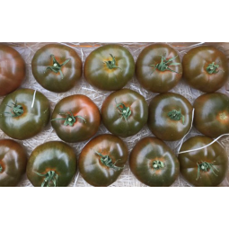 tomates kumato