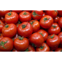 tomates Daniela