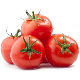 tomate Daniela
