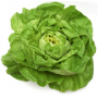 lechuga Trocadero