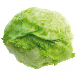 lechuga iceberg calibre 9/10