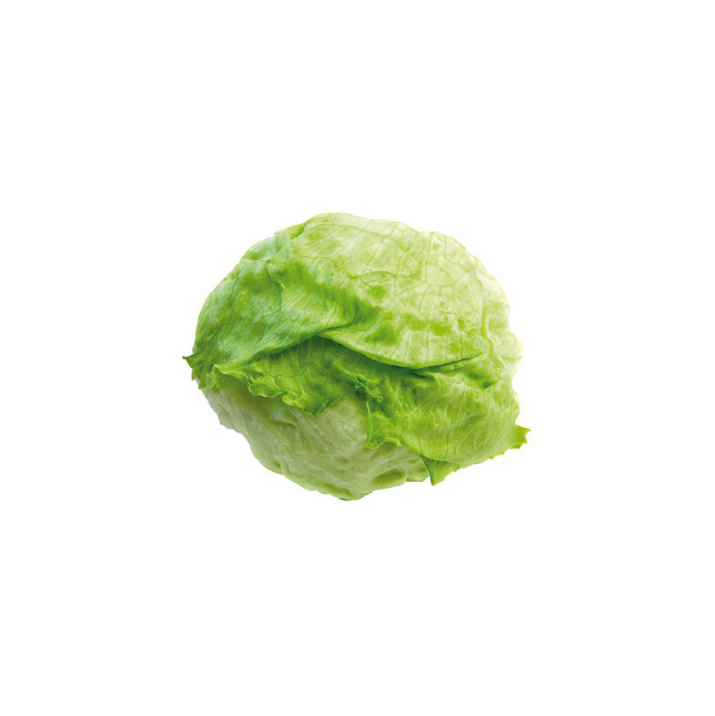 lechuga iceberg calibre 9/10