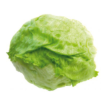 lechuga iceberg calibre 9/10