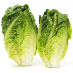 lechuga romana cogollo bandeja de 2 unidades