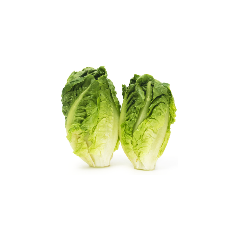 lechuga romana cogollo bandeja de 2 unidades