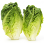 lechuga romana cogollo bandeja de 2 unidades