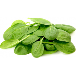 espinaca baby bandeja