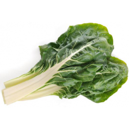 acelga