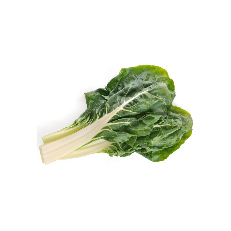 acelga
