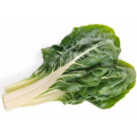 acelga