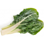 acelga