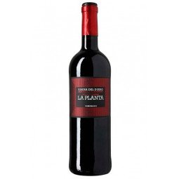 vino la planta arzuaga 2018