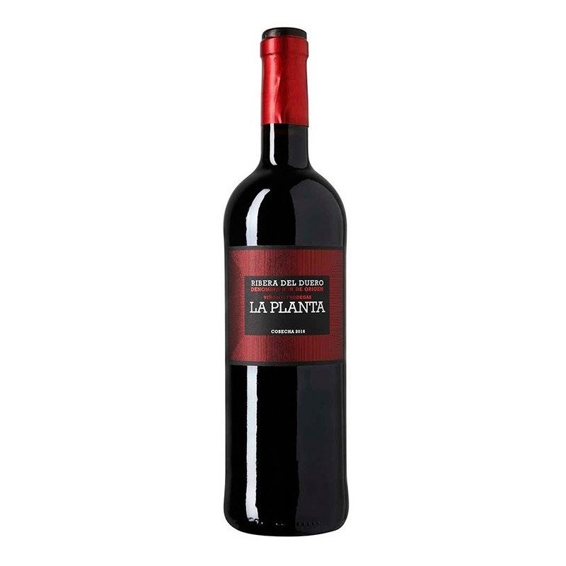 vino la planta arzuaga 2018