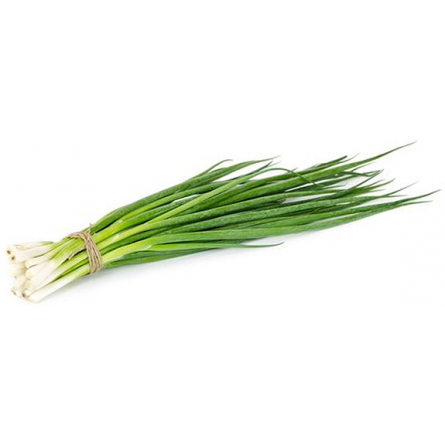 ajete bandeja ajo tierno ajete bandeja ajo tierno