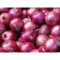 cebollas moradas