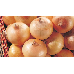 cebollas dulces