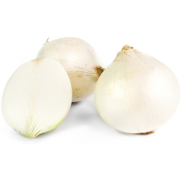 cebolla blanca
