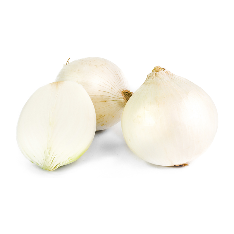 cebolla blanca