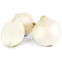 cebolla blanca