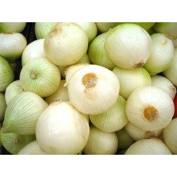 cebollas blancas