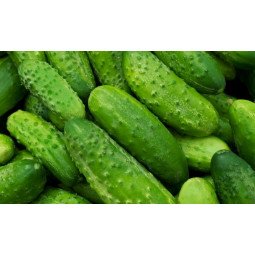pepino nacional a granel