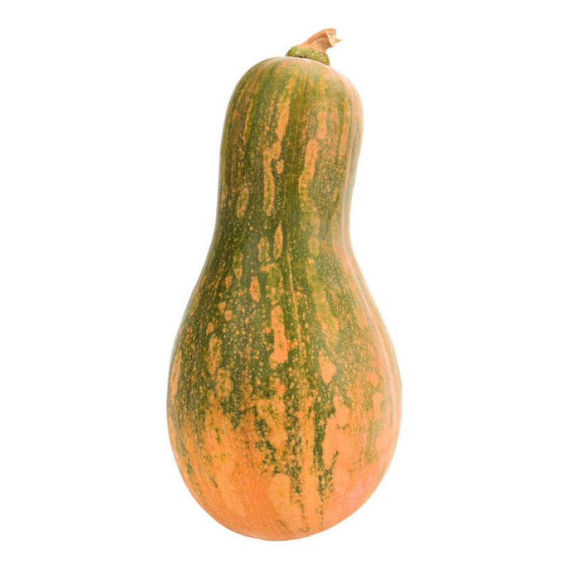 calabaza carruecano