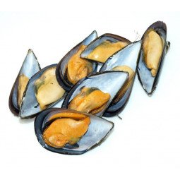 mejillones media concha 500 gr