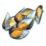 mejillones media concha 500 gr