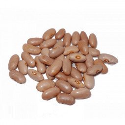 judia canela a granel 1 kg