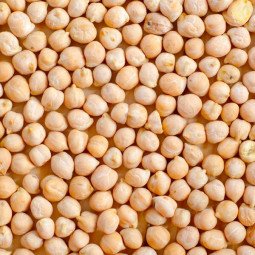 garbanzo pedrosillano a granel 1 kg