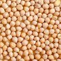 garbanzo pedrosillano a granel 1 kg