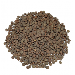 lenteja pardina a granel 1 kg