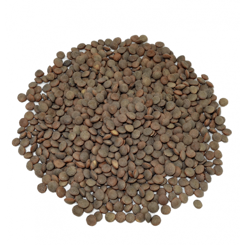lenteja pardina a granel 1 kg