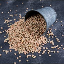 lenteja pardina a granel 1 kg