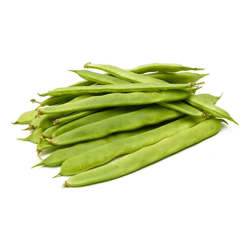 judia verde plana