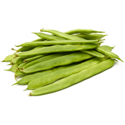 judia verde plana