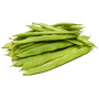 judia verde plana