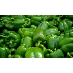 pimientos verdes segunda