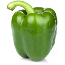 pimiento verde extra