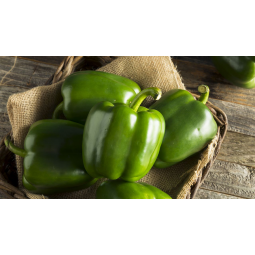 pimientos verdes extra