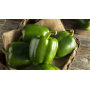 pimientos verdes extra