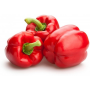 pimiento rojo segunda