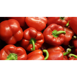 pimientos rojos segunda